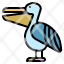ocean-pelican-bird-animal-wildlife-nature-icon