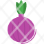 onion-organic-food-farming-gardening-icon