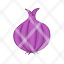 onion-vegetable-food-purple-icon