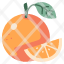 orange-agriculture-fresh-healthy-food-fruit-bunch-icon