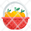 orange-basket-fruit-organic-china-packaging-culture-icon