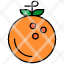 orange-food-fruit-fruits-healthy-fleshy-green-icon