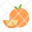 orange-food-fruit-mardi-gras-icon