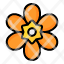 orange-freesia-flower-plant-blossom-garden-floral-nature-icon