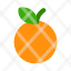 orange-fresh-fruit-icon