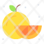 orange-fruit-food-healthy-citrus-icon