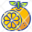 orange-fruit-food-organic-vegetarian-icon