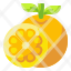 orange-fruit-food-organic-vegetarian-icon