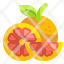 orange-fruit-oranges-vegan-acidic-diet-sour-icon