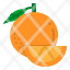 orange-healthy-food-diet-fruit-icon