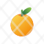 orange-healthy.fruit-icon