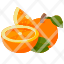 orangefruit-food-organic-vegan-healthy-diet-vegetarian-restaurant-icon