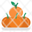 oranges-healthy-orangefruit-organic-fruit-mandarin-citrus-chines-chinesenewyear-icon