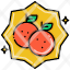 oranges-icon