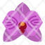 orchid-flower-scent-perfume-fragrant-aroma-icon
