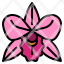 orchid-flower-scent-perfume-icon