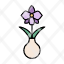 orchid-garden-plant-environment-houseplant-flower-icon