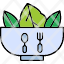 organic-food-bowl-salad-sq-vegan-vegetables-icon