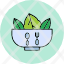 organic-food-bowl-salad-sq-vegan-vegetables-icon