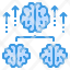 organization-brain-icon