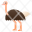 ostrich-animal-icon