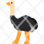 ostrich-icon
