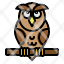 owl-animal-bird-education-wisdom-icon