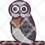 owlbird-hunter-animals-animal-study-learning-knowledge-literature-icon