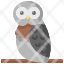 owlbird-hunter-animals-animal-study-learning-knowledge-literature-icon