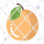 pack-food-summer-fruit-icon