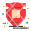 package-protection-shield-parcel-icon
