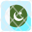pakistan-country-national-flag-world-identity-icon