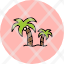 palm-treepalm-coconut-tree-island-tropical-plant-travel-icon