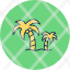 palm-treepalm-coconut-tree-island-tropical-plant-travel-icon