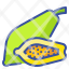 papaya-fruit-food-organic-vegetarian-icon