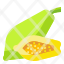 papaya-fruit-food-organic-vegetarian-icon