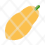 papaya-natural-tropical-icon