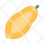 papaya-slice-healthy-fruit-icon