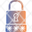 passcode-enter-locked-password-privacy-icon