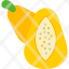pawpaw-fruit-food-healthy-fresh-icon