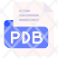 pdb-file-type-format-extension-document-icon