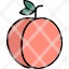 peach-fruit-food-healthy-fresh-icon