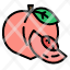 peach-fruit-food-organic-vegan-icon