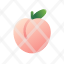 peach-healthy.fruit-icon