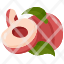 peachfruit-food-organic-vegan-healthy-diet-vegetarian-restaurant-icon