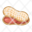 peanut-food-natural-icon