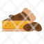 pecan-dessert-bakery-nut-pie-icon