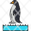 penguin-animal-artic-snow-tuxedo-winter-zoo-sea-icon