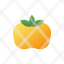 persimmon-healthy.fruit-icon