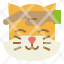 pet-cat-play-rub-kitten-animal-icon